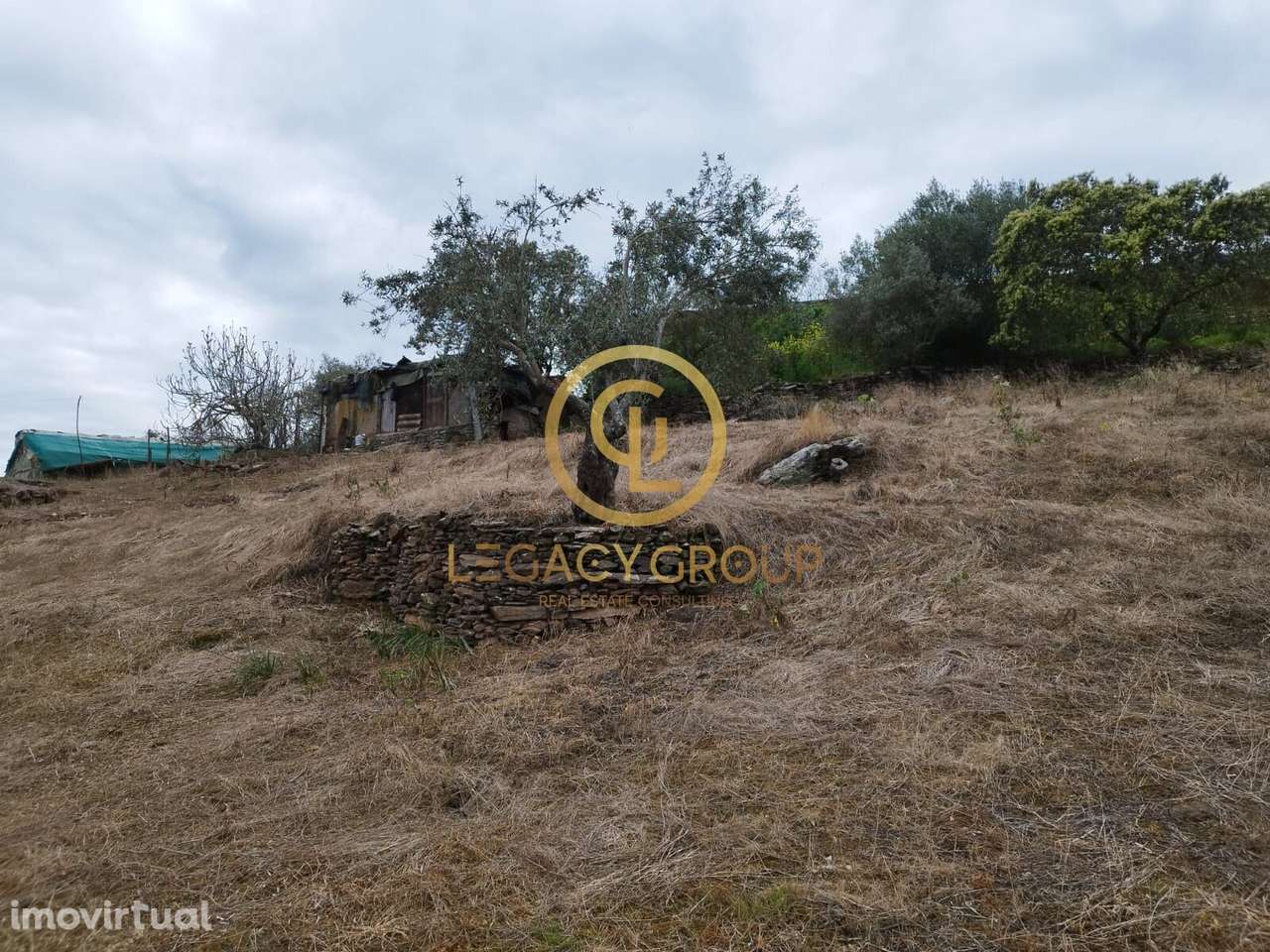 TERRENO COM 2500m2 EM MONSARAZ - Grande imagem: 5/40