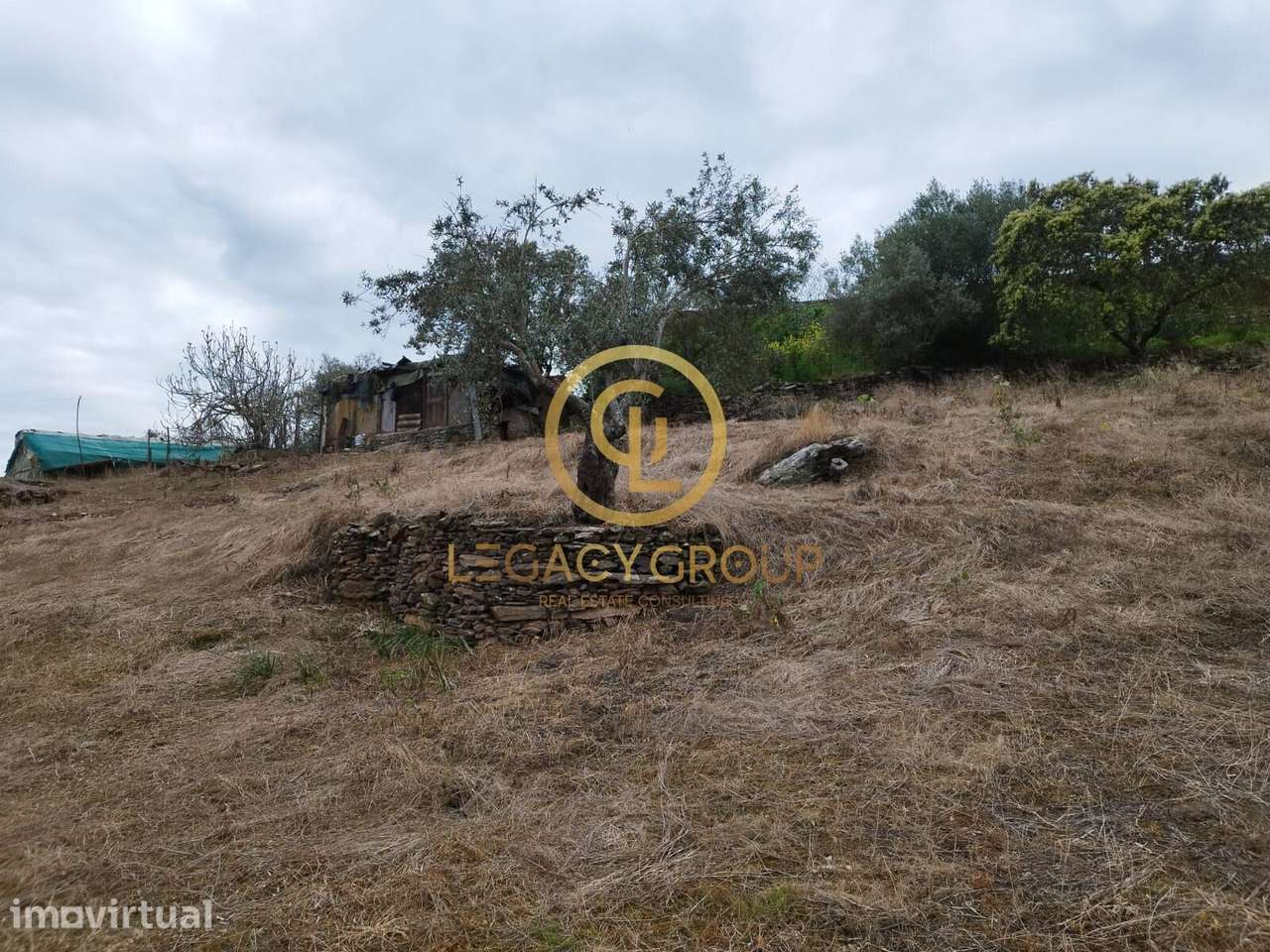 TERRENO COM 2500m2 EM MONSARAZ - Grande imagem: 5/40