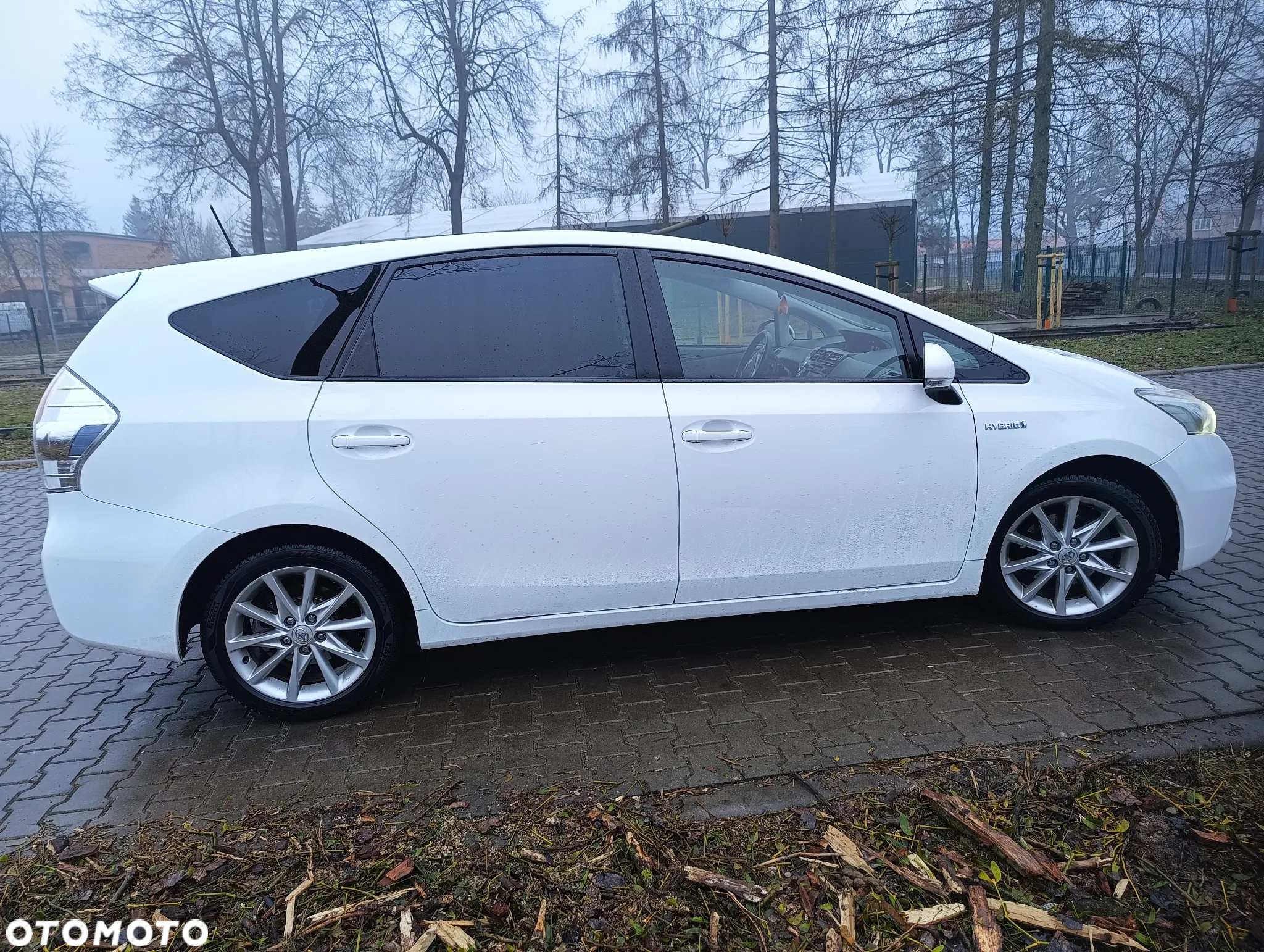 Toyota Prius+ (Hybrid) - 17