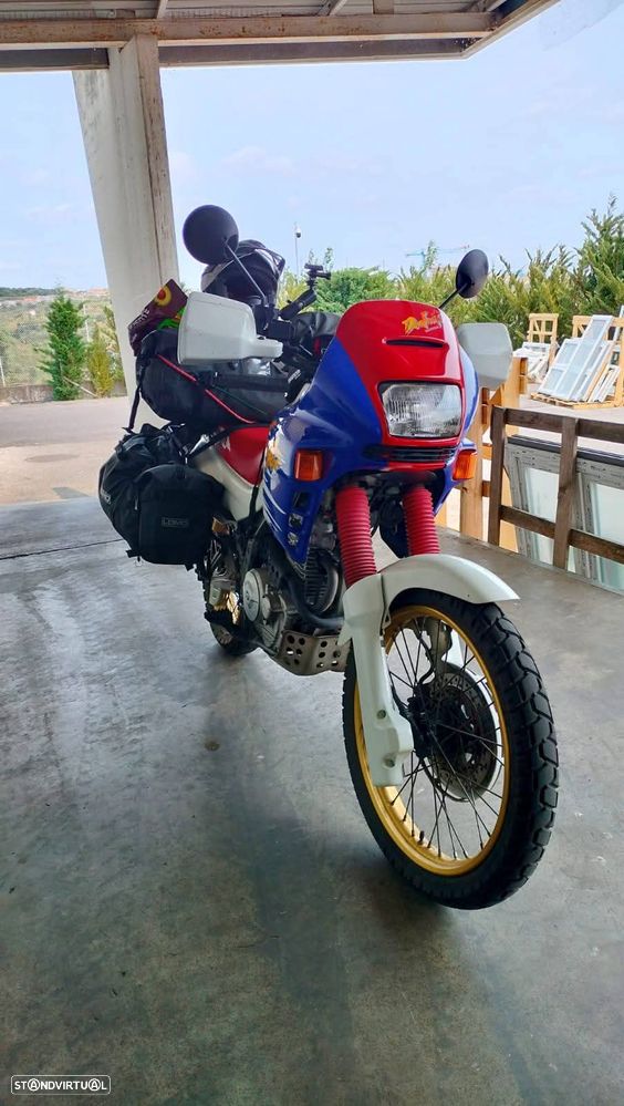 Honda Dominator - 1