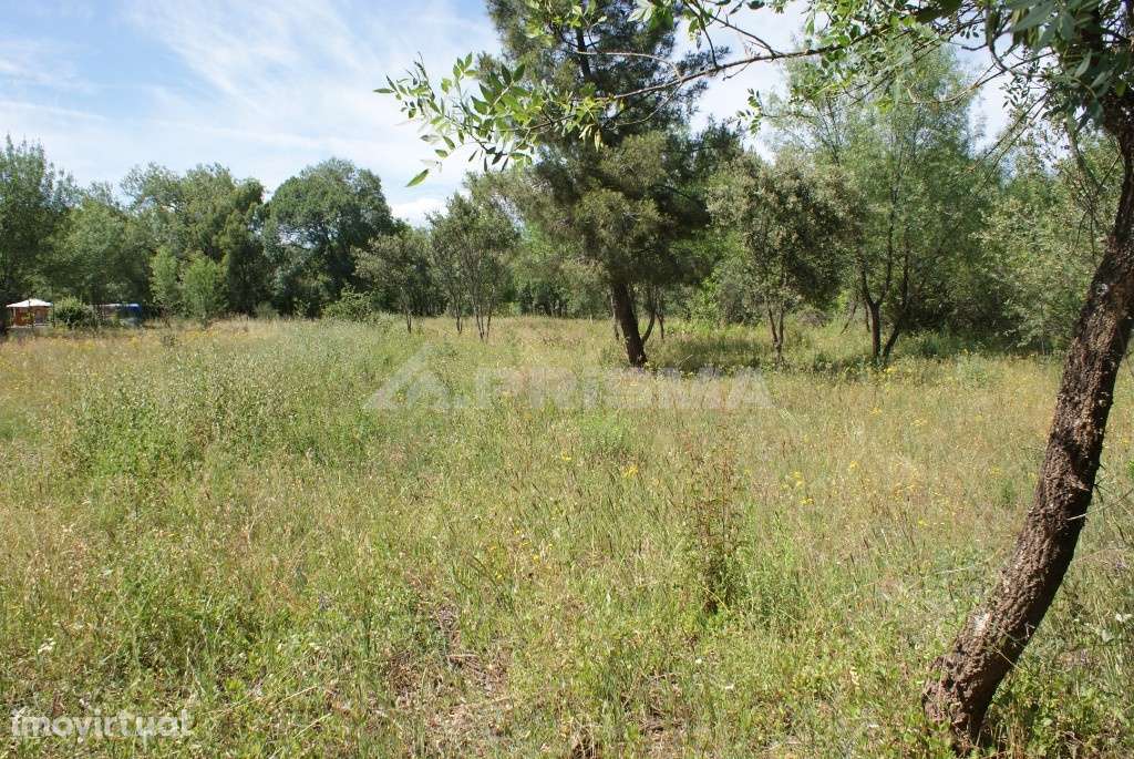 Terreno para venda - Grande imagem: 5/25