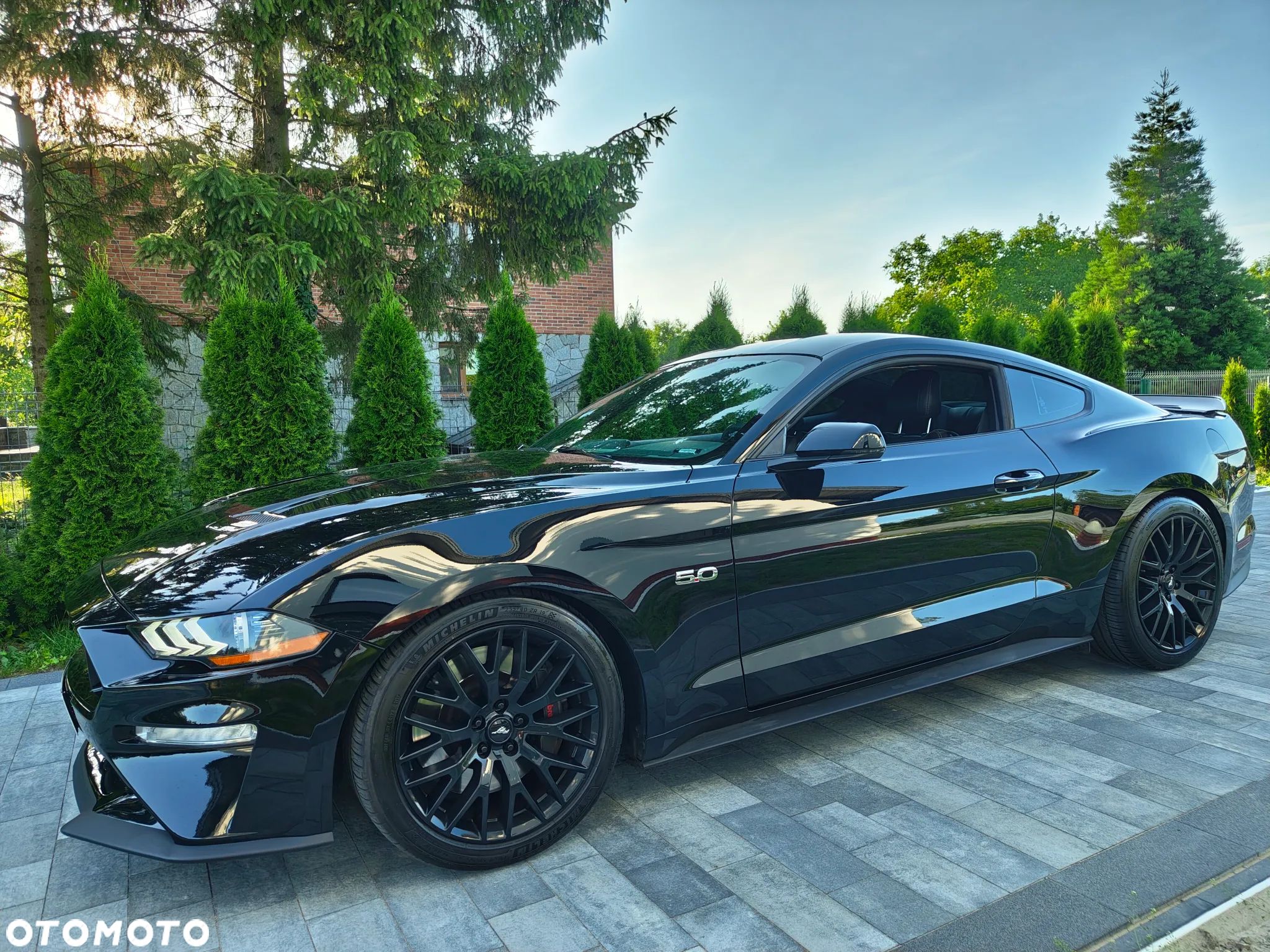 Ford Mustang 5.0 V8 GT - 1