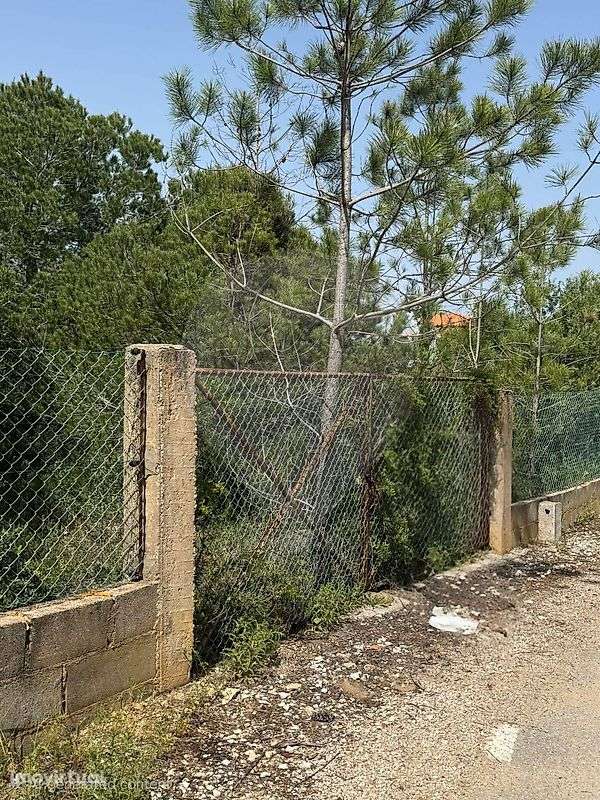 Terreno  para venda - Grande imagem: 4/5