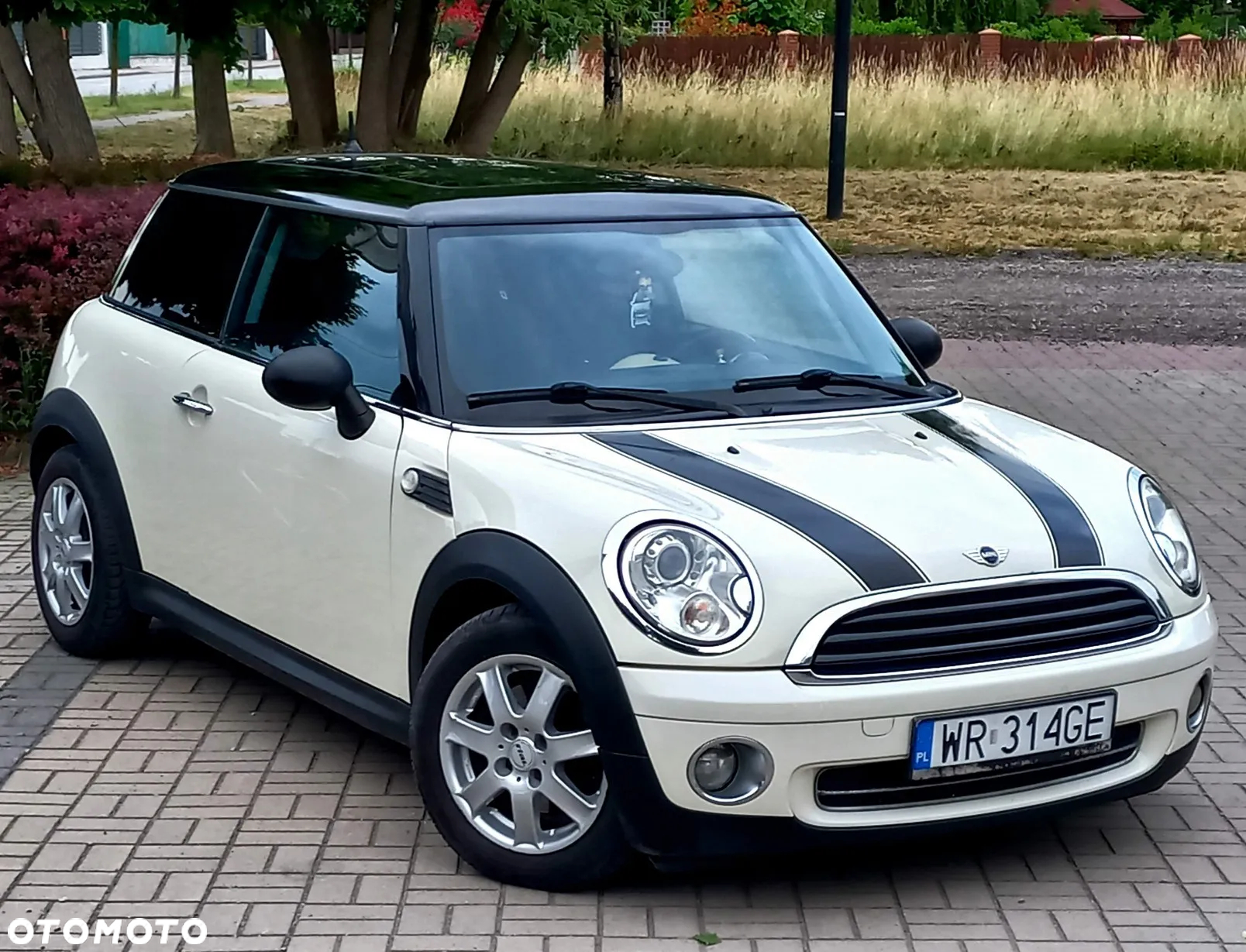 MINI ONE - 6