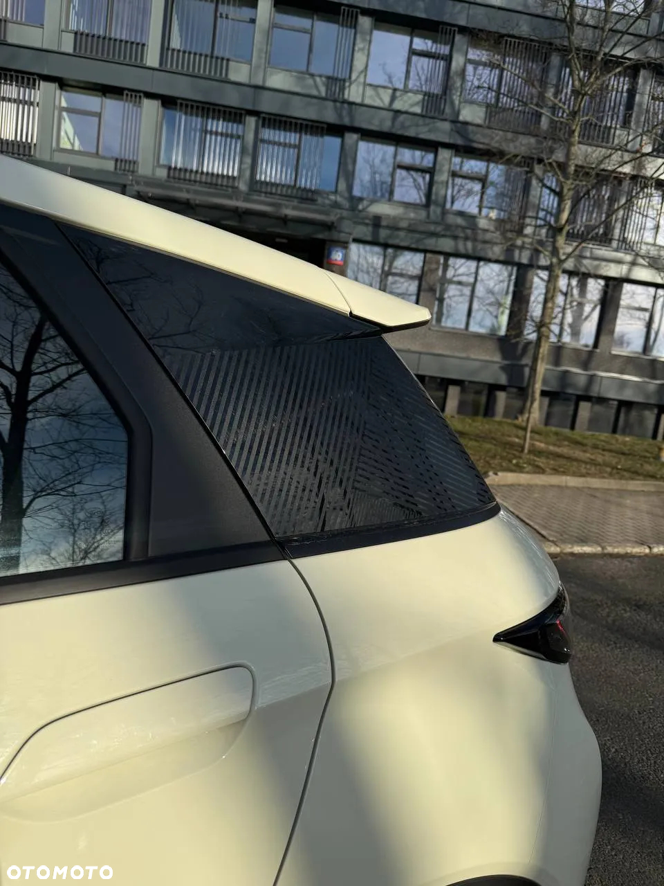 BYD Dolphin Active - 20