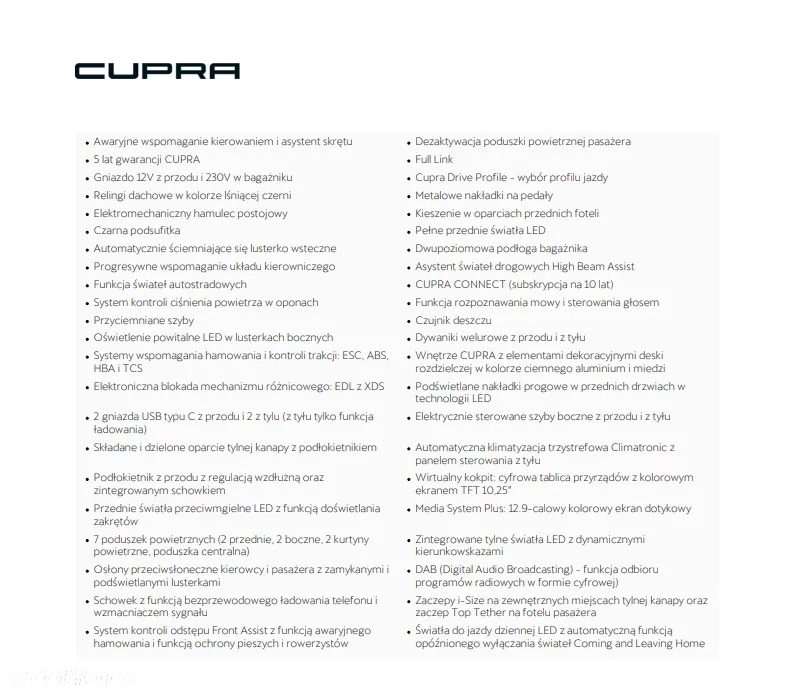 Cupra Formentor 2.0 TDI 4Drive DSG - 15