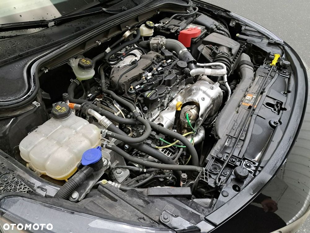 Ford Focus - 14