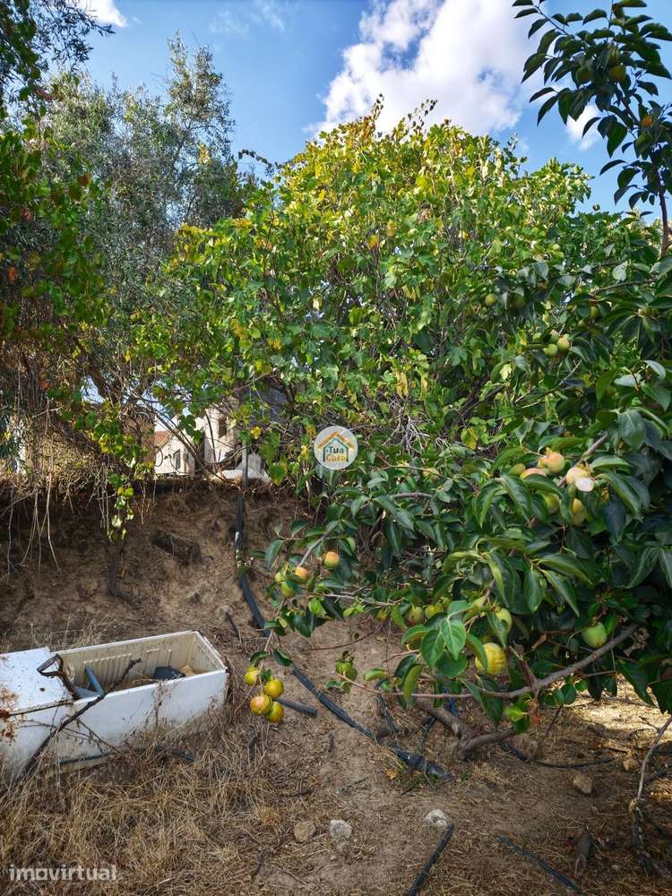 Moradia T2 em Pedra com Charca — Donas, Fundão Uma Rara Oportunidade n - Grande imagem: 3/29