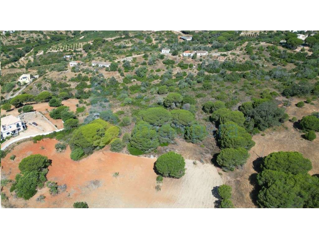 Terreno rústico com 10.540 m² para venda em Armação de Pêra - Grande imagem: 2/5