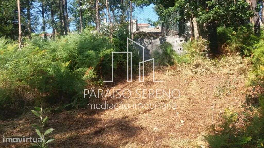 Terreno Caldas de São Jorge - Grande imagem: 2/5