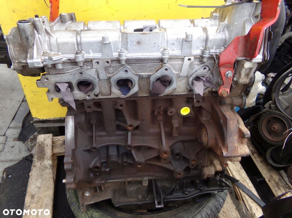 TRANSIT MK8 2.0 TDCI ECOBLUE FWD 19r 105KM silnik YLF6 YLFS YMF6 YMFA YMFB - 2