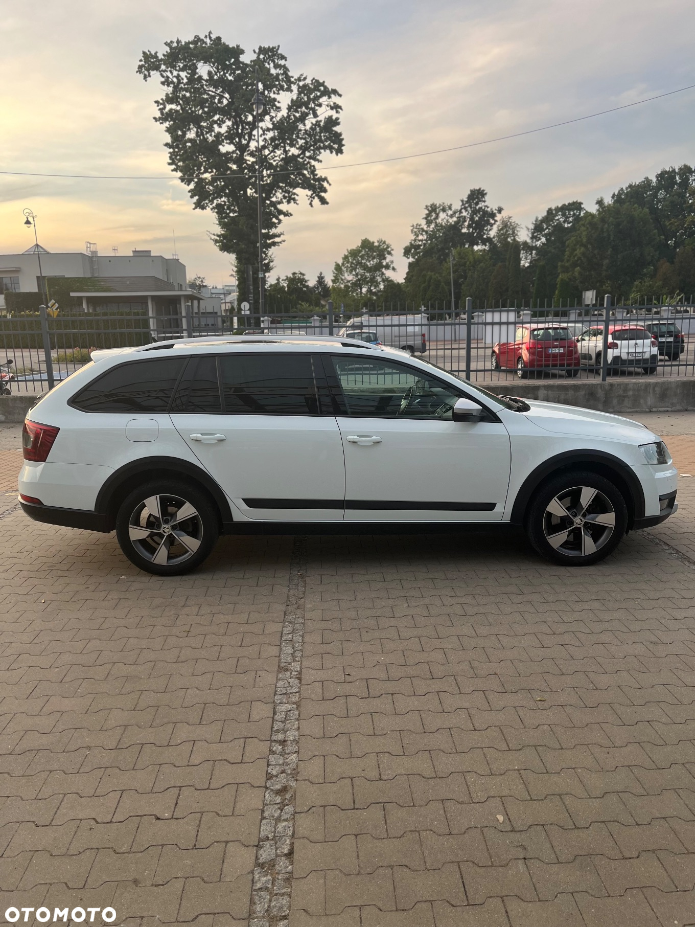Skoda Octavia Combi 2.0 TDI (Green tec) 4x4 DSG Scout - 2