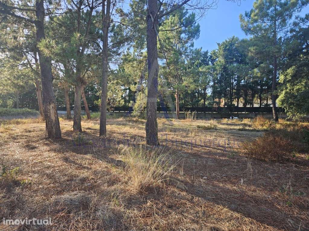 Excelente oportunidade de investimento ! - Grande imagem: 2/12