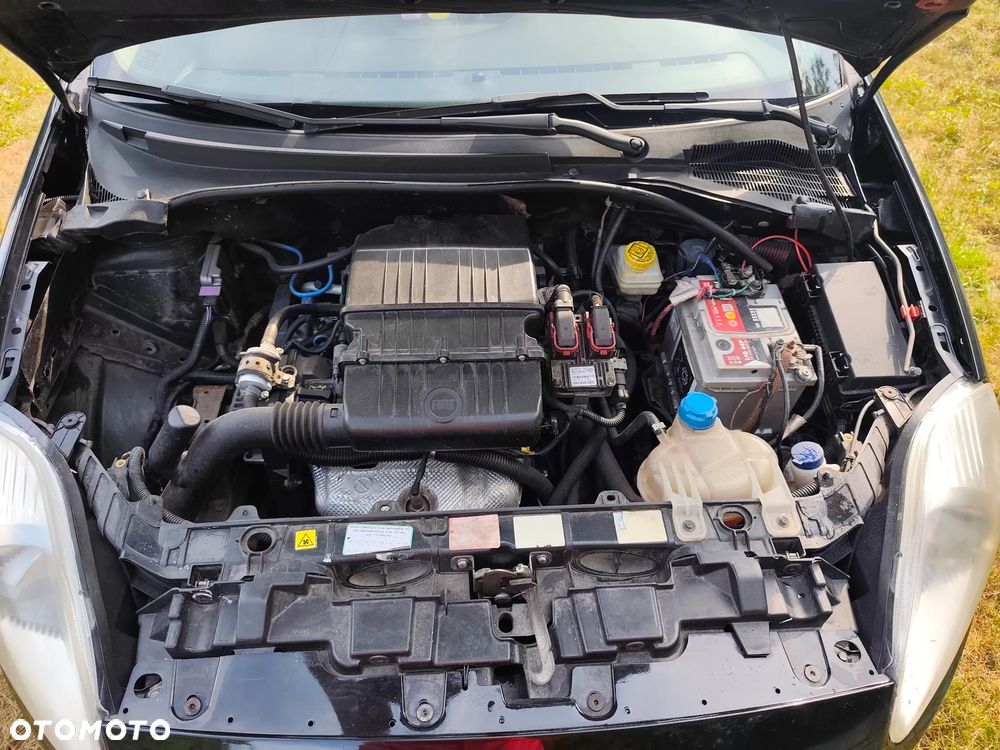 Fiat Punto - 11