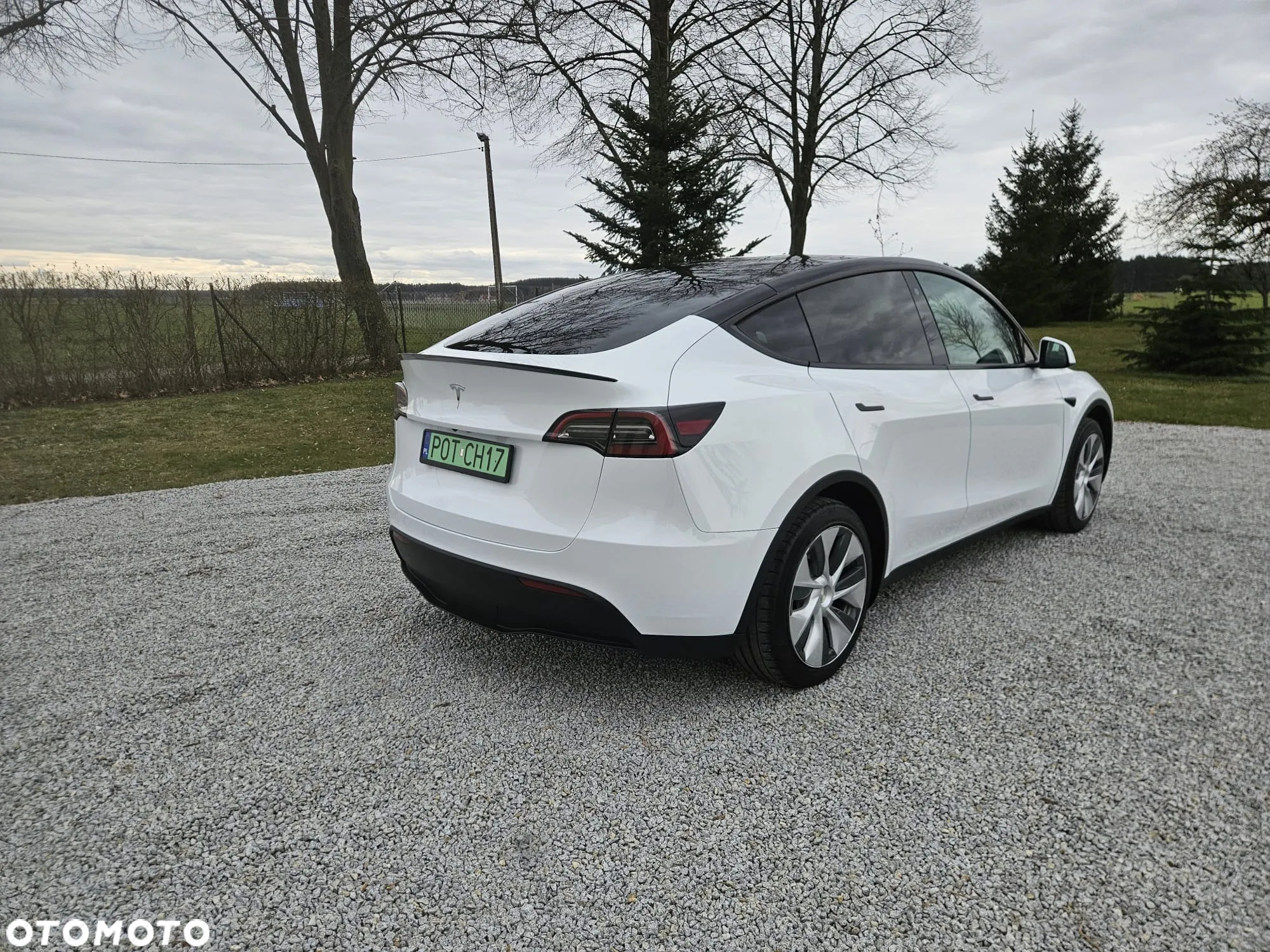 Tesla Y Model RWD - 17