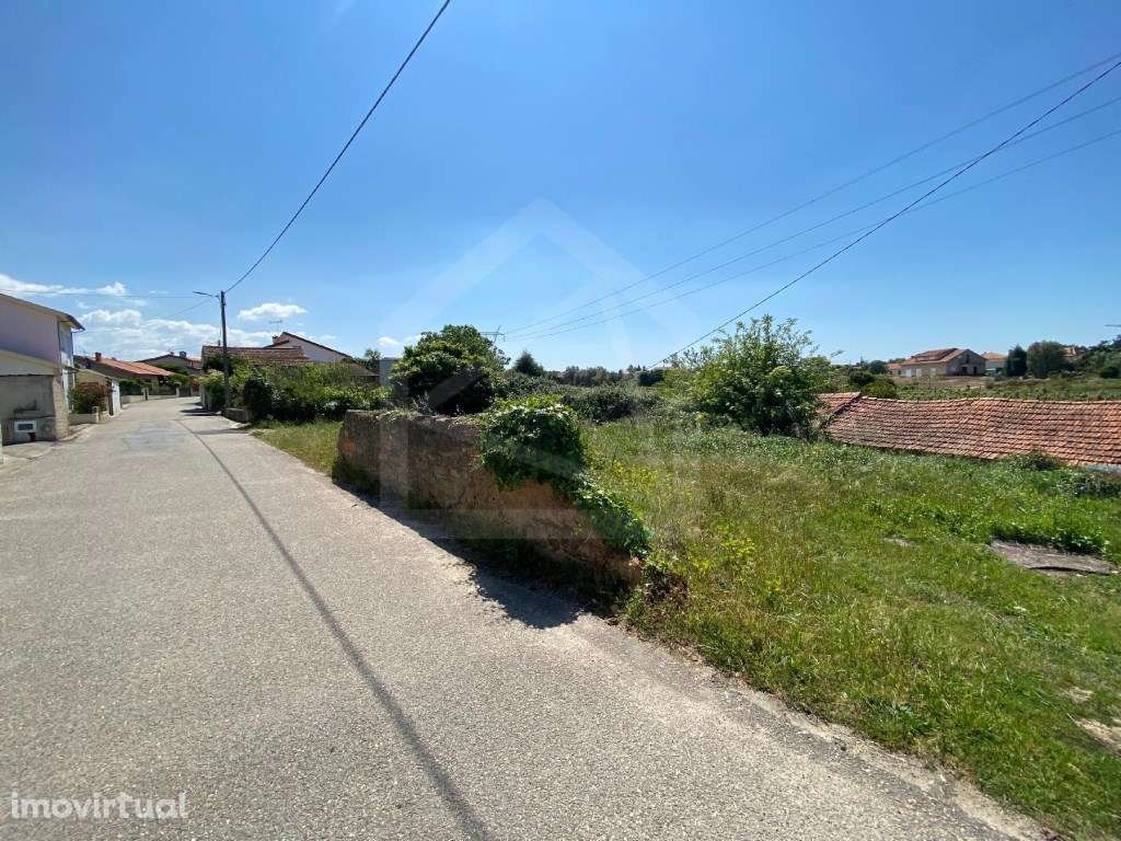 Terreno Rústico em Anadia - Grande imagem: 2/9