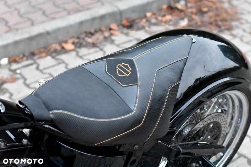 Harley-Davidson Inny - 31