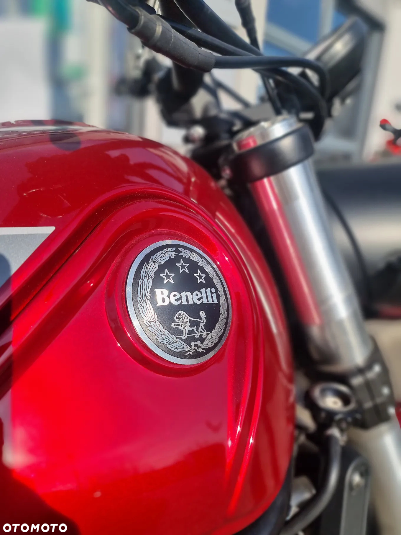 Benelli Leoncino - 11