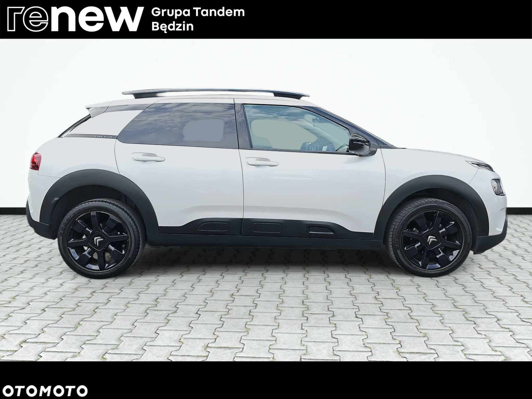 Citroën C4 Cactus 1.2 PureTech Shine S&S EAT6 - 4