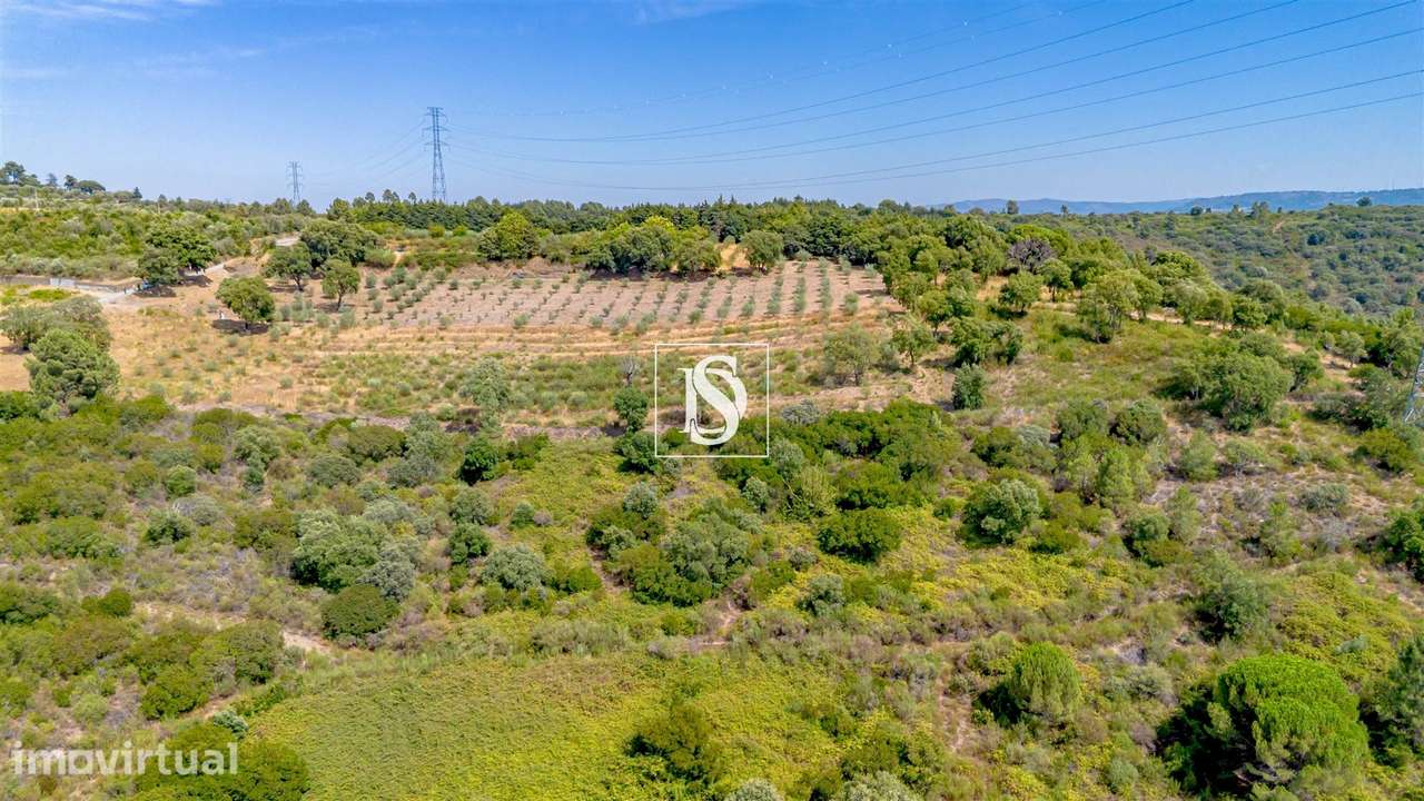 Terreno Rústico  Venda em Poiares e Canelas,Peso da Régua - Grande imagem: 4/14
