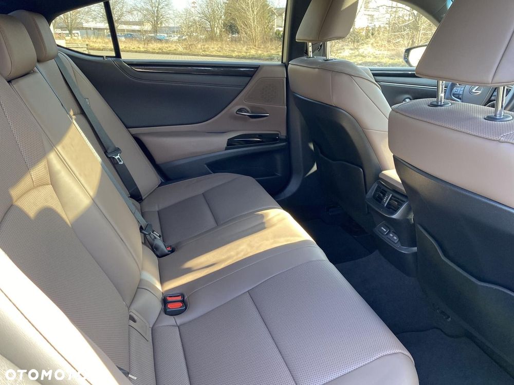 Lexus ES 300h F Sport Design - 16