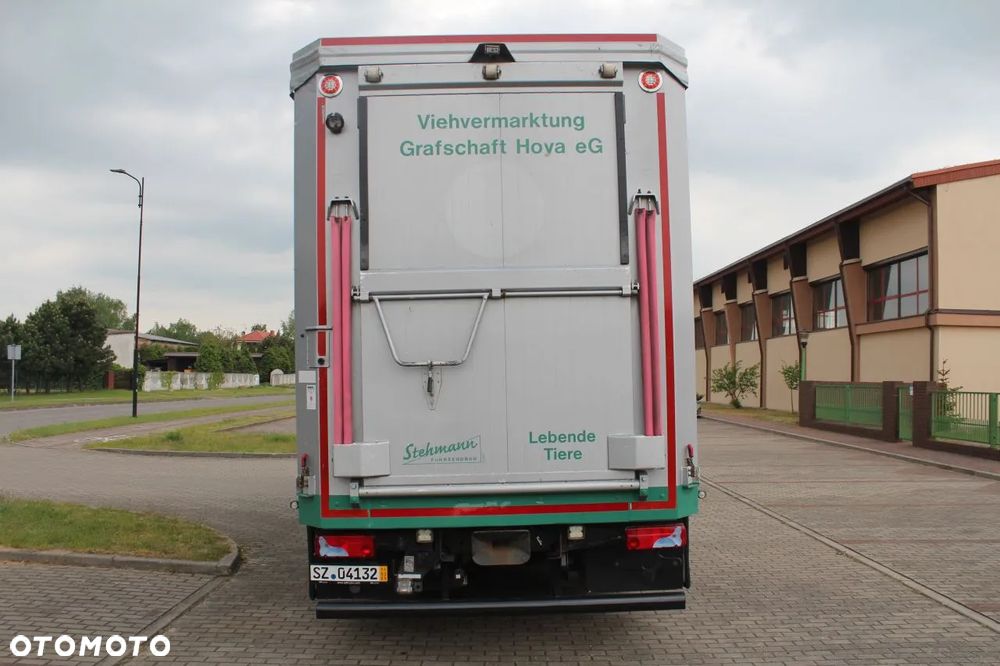 MAN TGS 26.440 DO ŻYWCA ZWIERZĄT BYDŁA Z NIEMIEC - 3