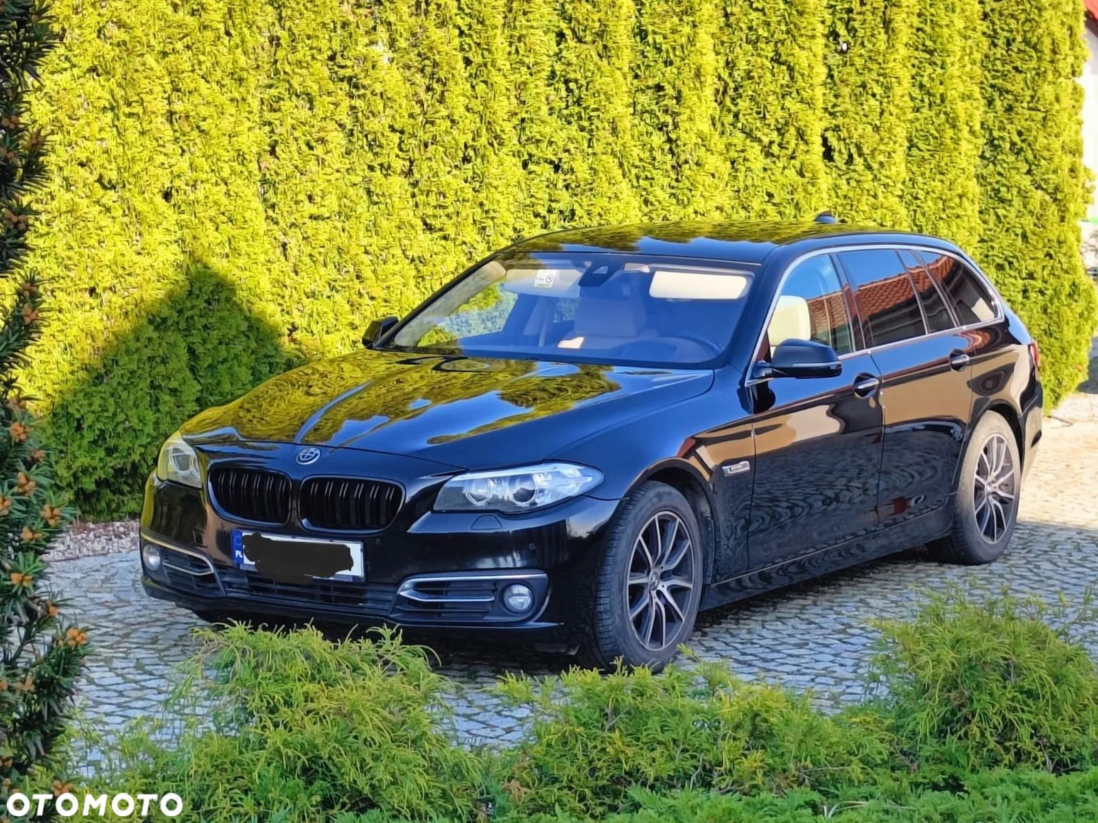 BMW Seria 5 530d xDrive Luxury Line - 1