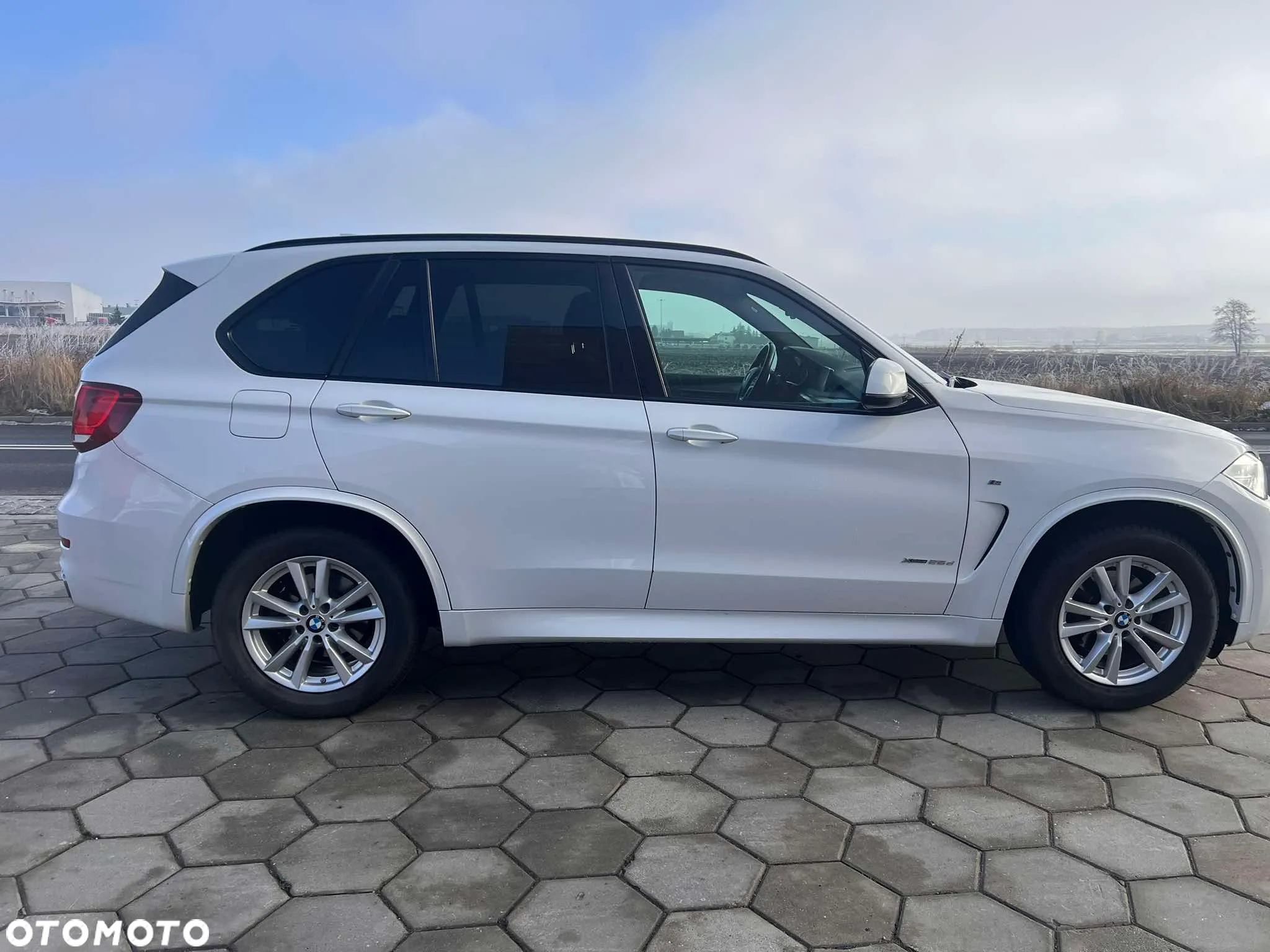 BMW X5 xDrive25d - 4