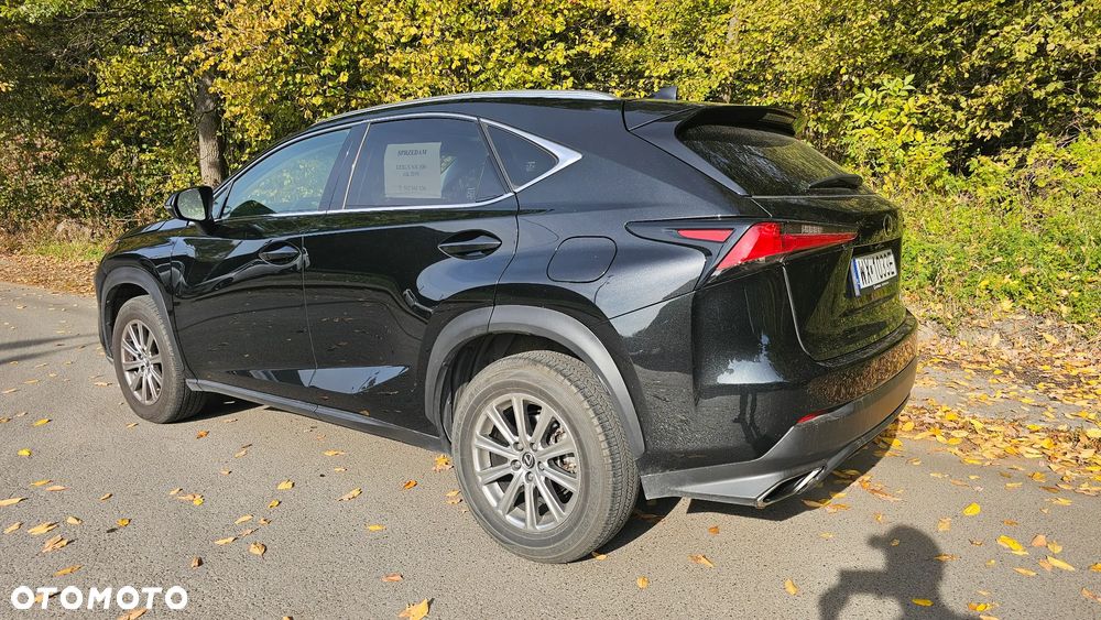 Lexus Nx 2019 photo 5
