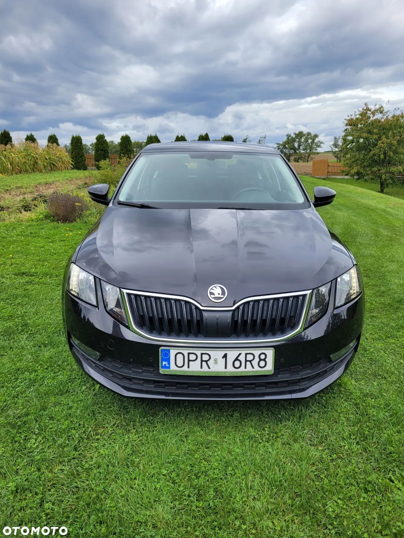 Skoda Octavia 1.6 TDI SCR Ambition - 1