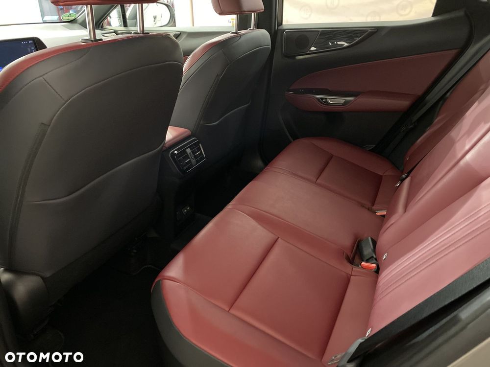 Lexus NX - 14