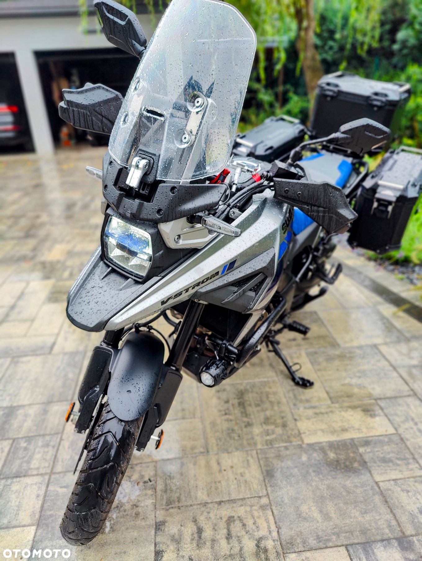 Suzuki DL - 14