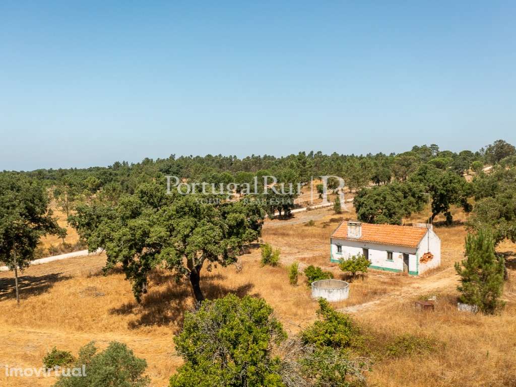 Quinta de 20ha com projeto para Turismo Rural a 1h de Lisboa - Grande imagem: 5/51