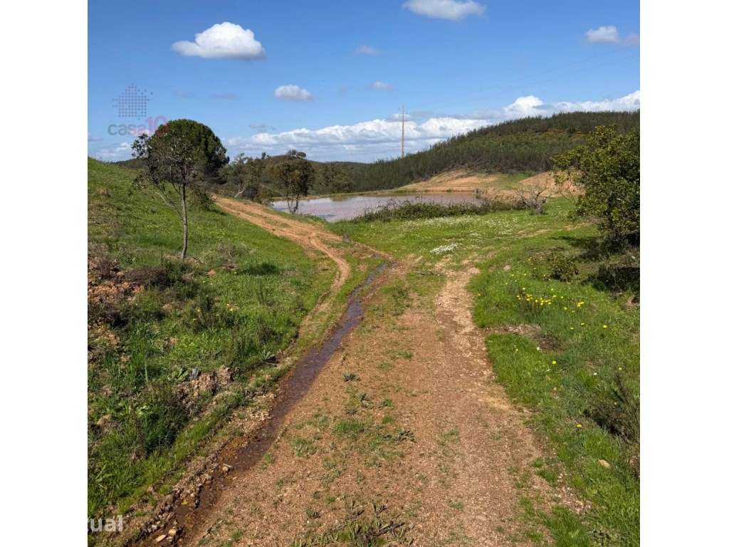 Monte com 37.000 m² e elevado potencial para habitação própria ou e... - Grande imagem: 4/11