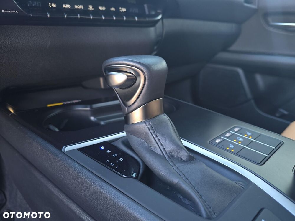 Lexus UX 250h GPF F Sport Design 2WD - 17