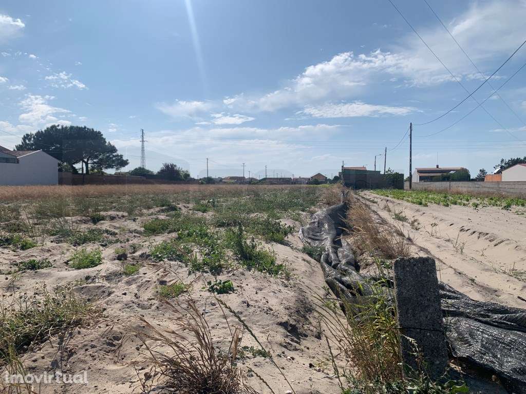 Terreno para venda próximo ao campismo da Vagueira - Grande imagem: 4/5