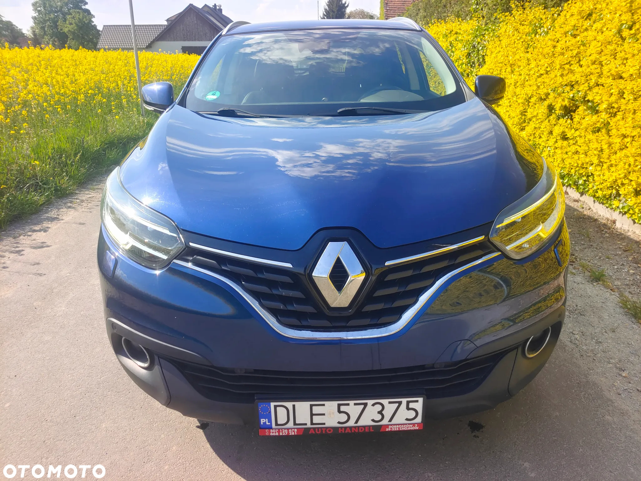 Renault Kadjar 1.2 Energy TCe Adventure - 8
