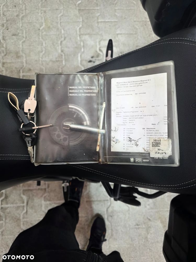 Triumph Tiger - 31