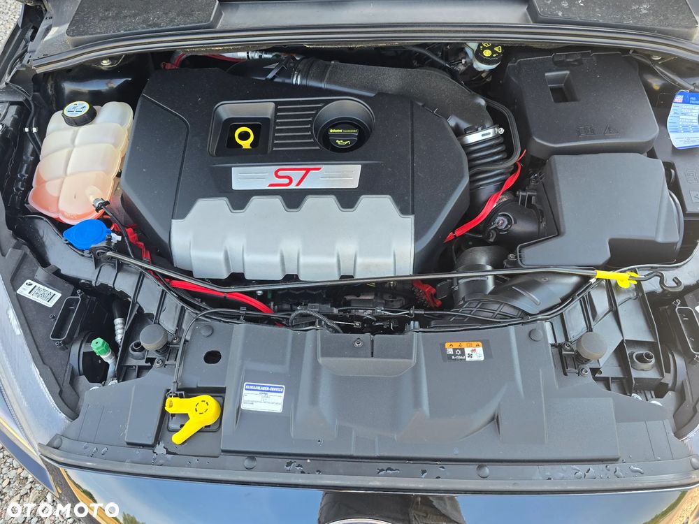 Ford Focus - 32