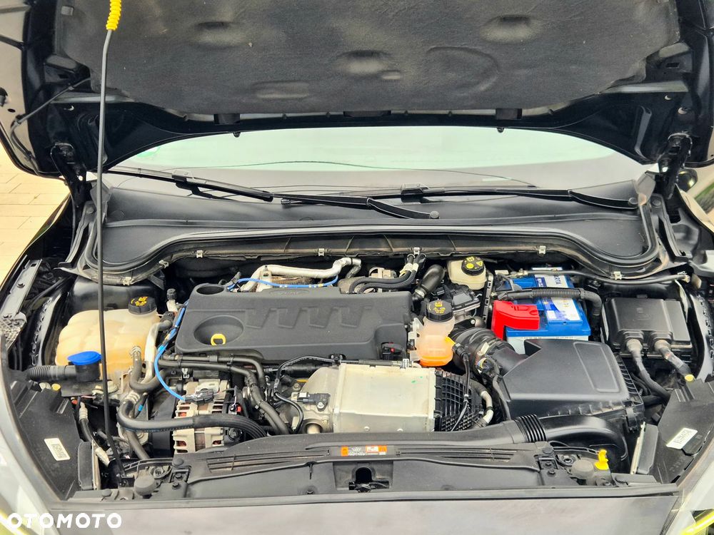 Ford Focus 2.0 EcoBlue STart-Stopp-System VIGNALE - 24