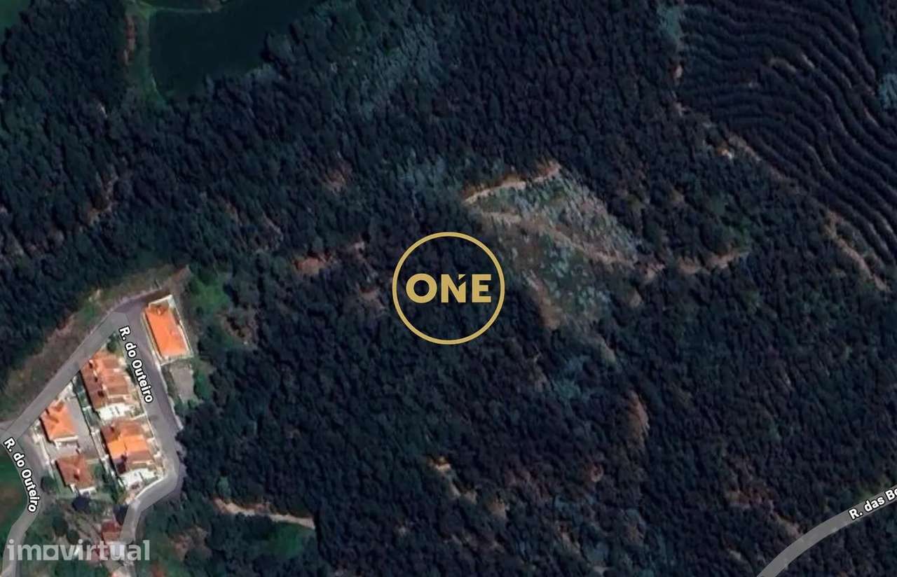 Bouça Murada em Lemenhe - Grande imagem: 3/3