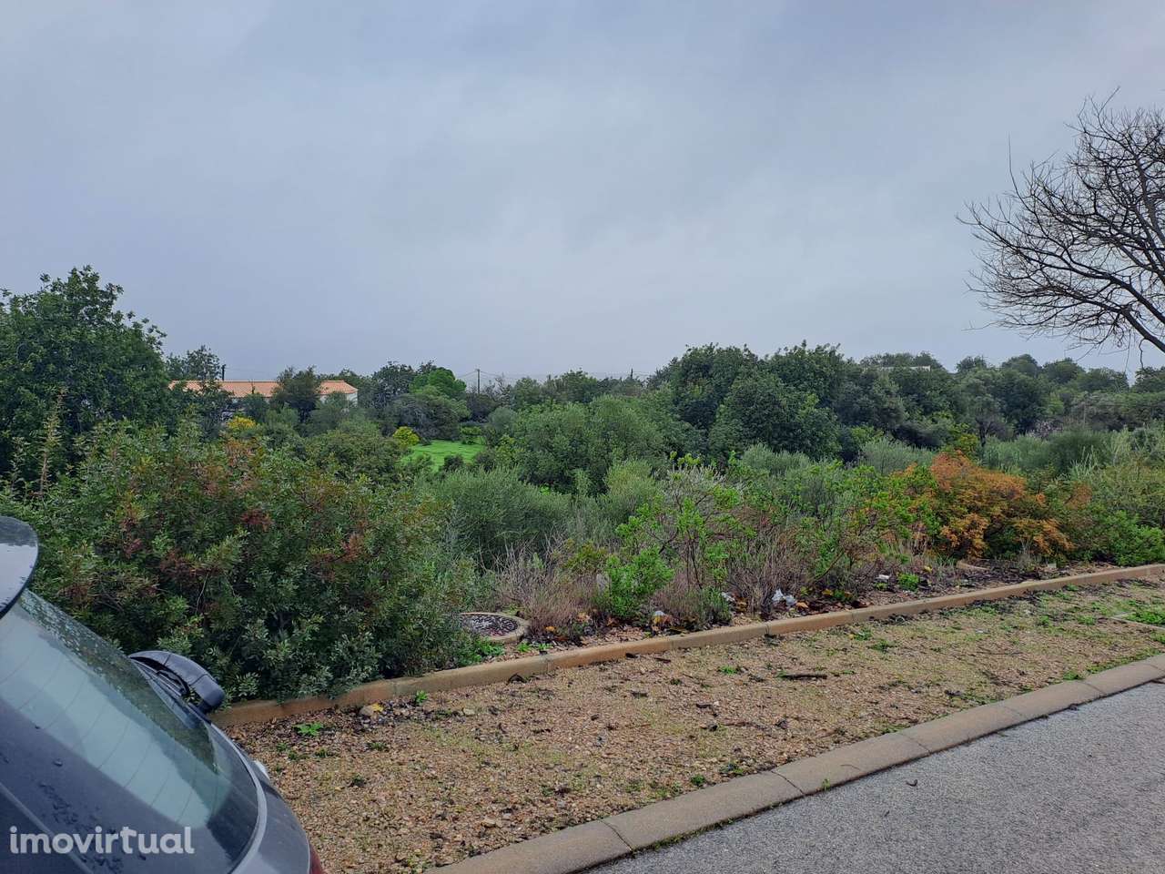 Terreno industrial - Tavira - Grande imagem: 5/10