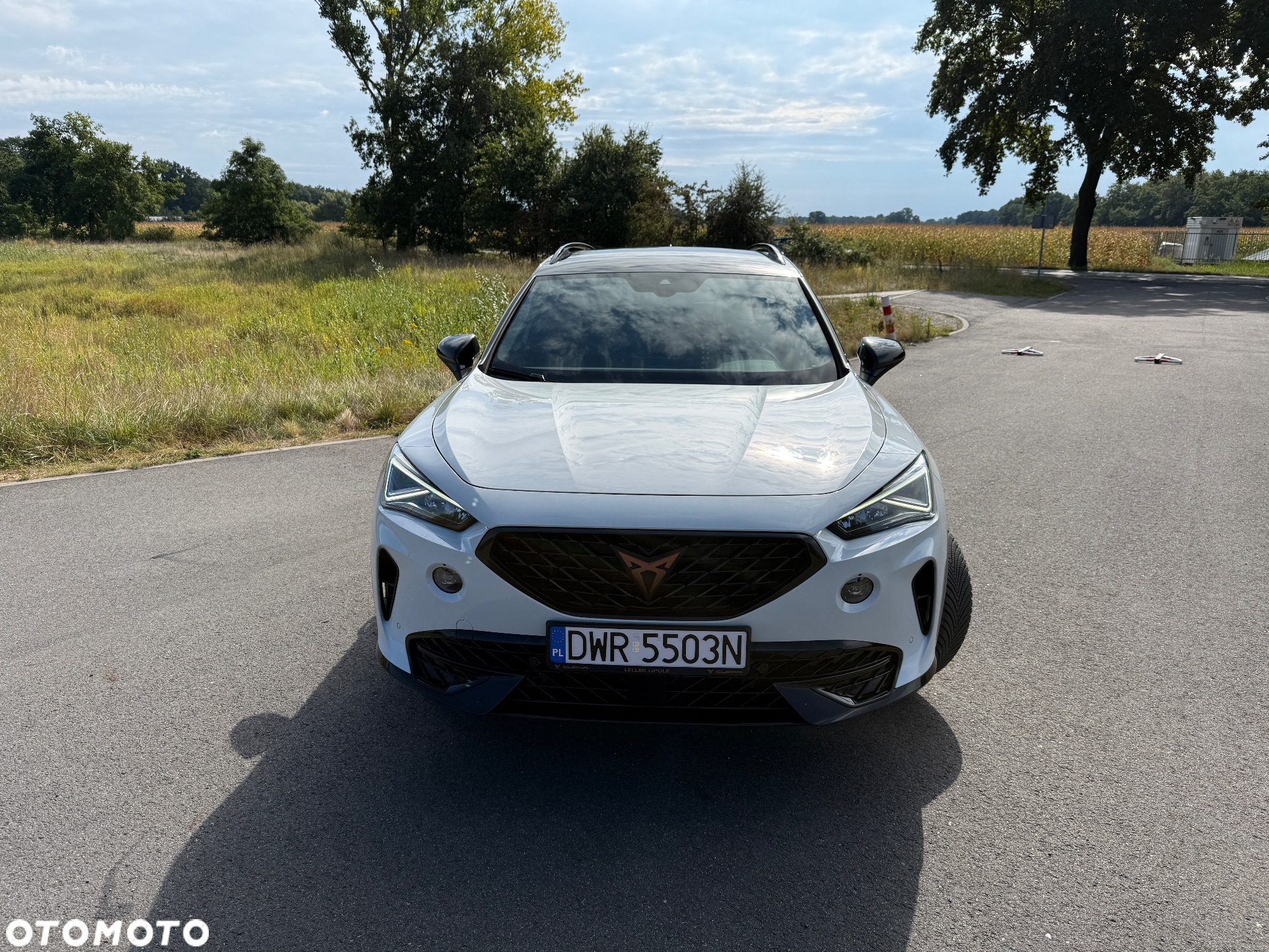 Cupra Formentor 1.5 TSI DSG - 2
