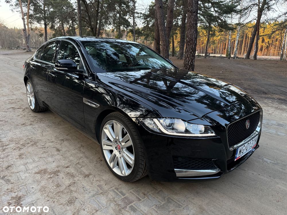 Jaguar XF 3.0 TDV6 Portfolio - 3