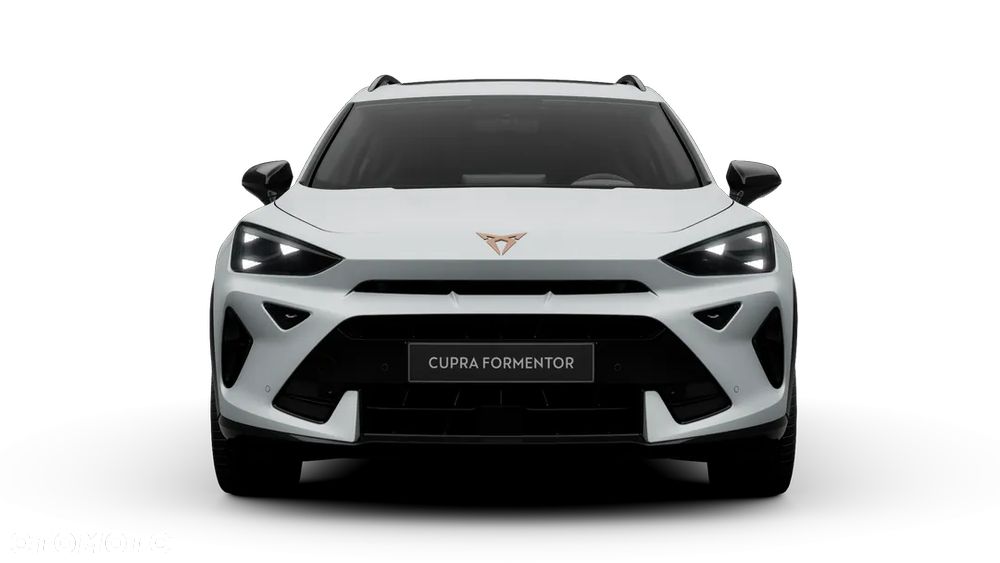 Cupra Formentor 2.0 TSI 4Drive DSG - 7