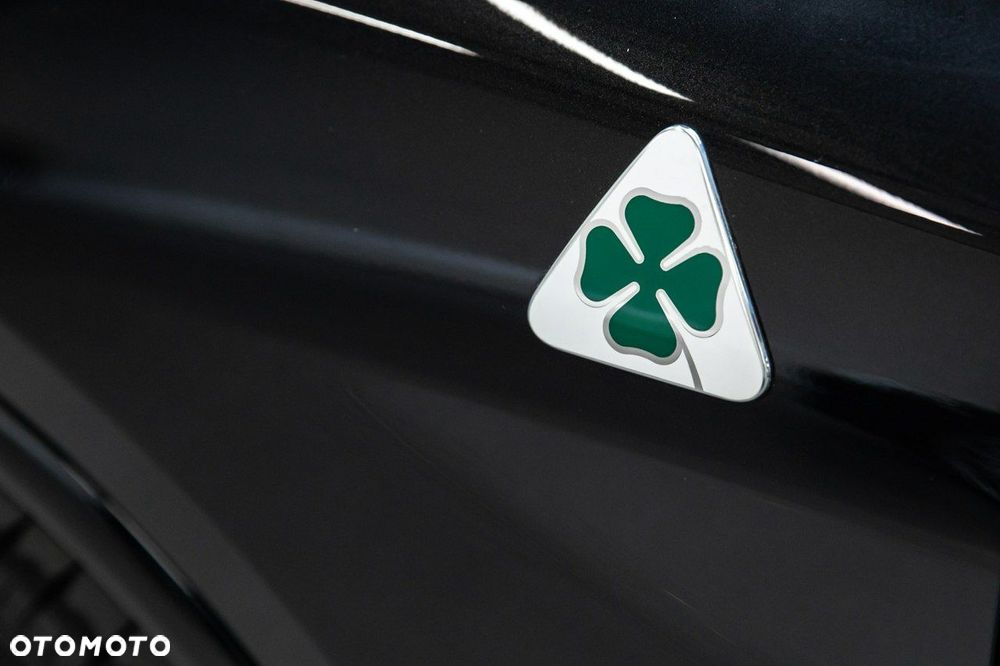 Alfa Romeo Stelvio 2.9 V6 Bi-Turbo Quadrifoglio Q4 - 15