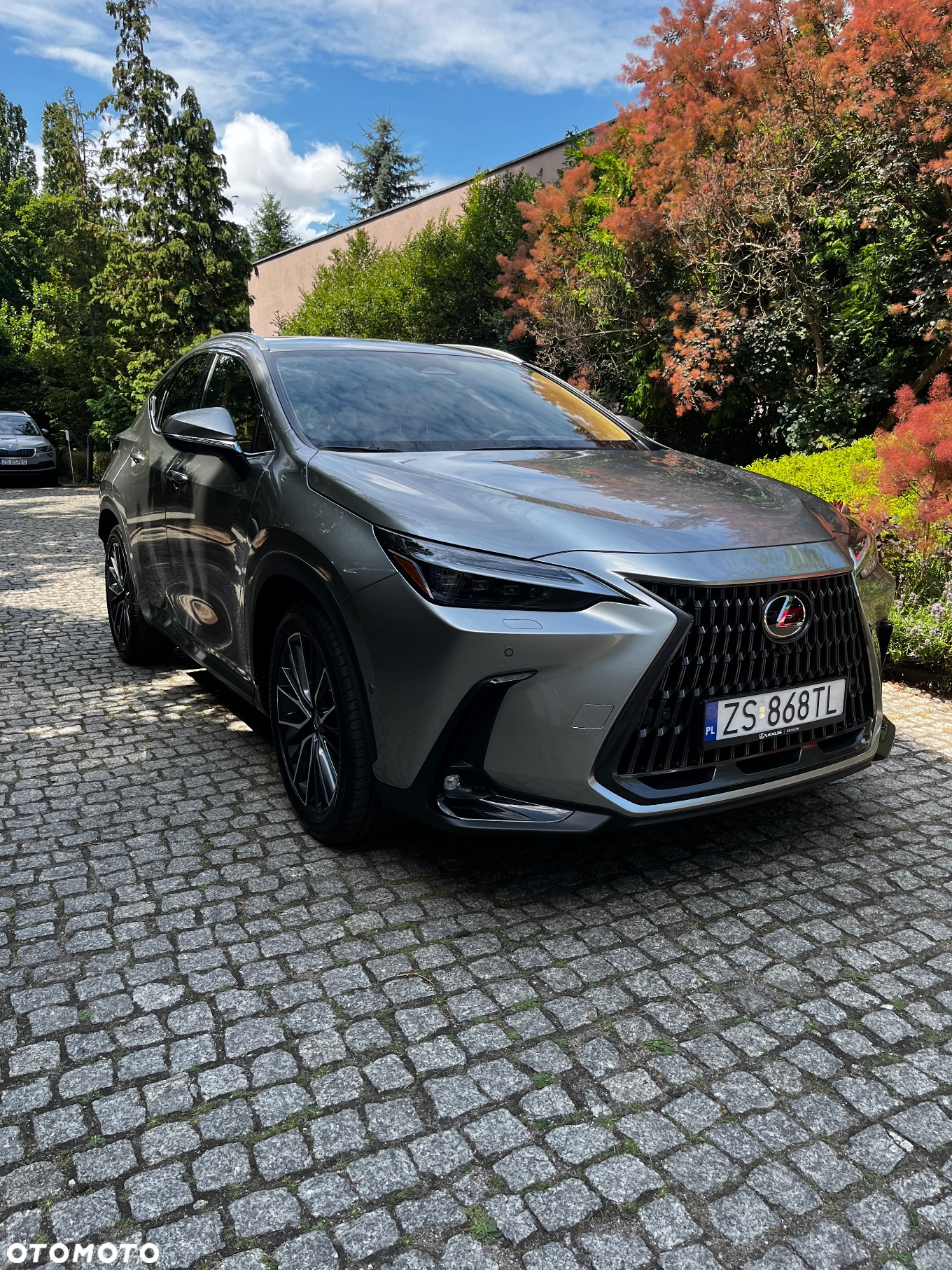Lexus NX 350h Omotenashi AWD - 2