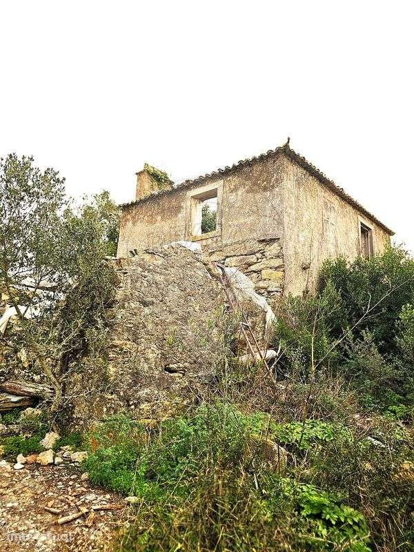 Terreno  para venda - Grande imagem: 3/18