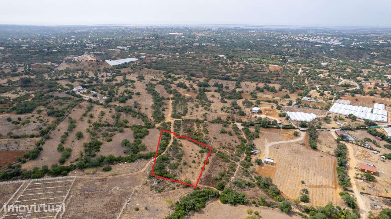 Terreno Rústico de 3.650 m² entre Pechão e Estoi - Grande imagem: 3/11