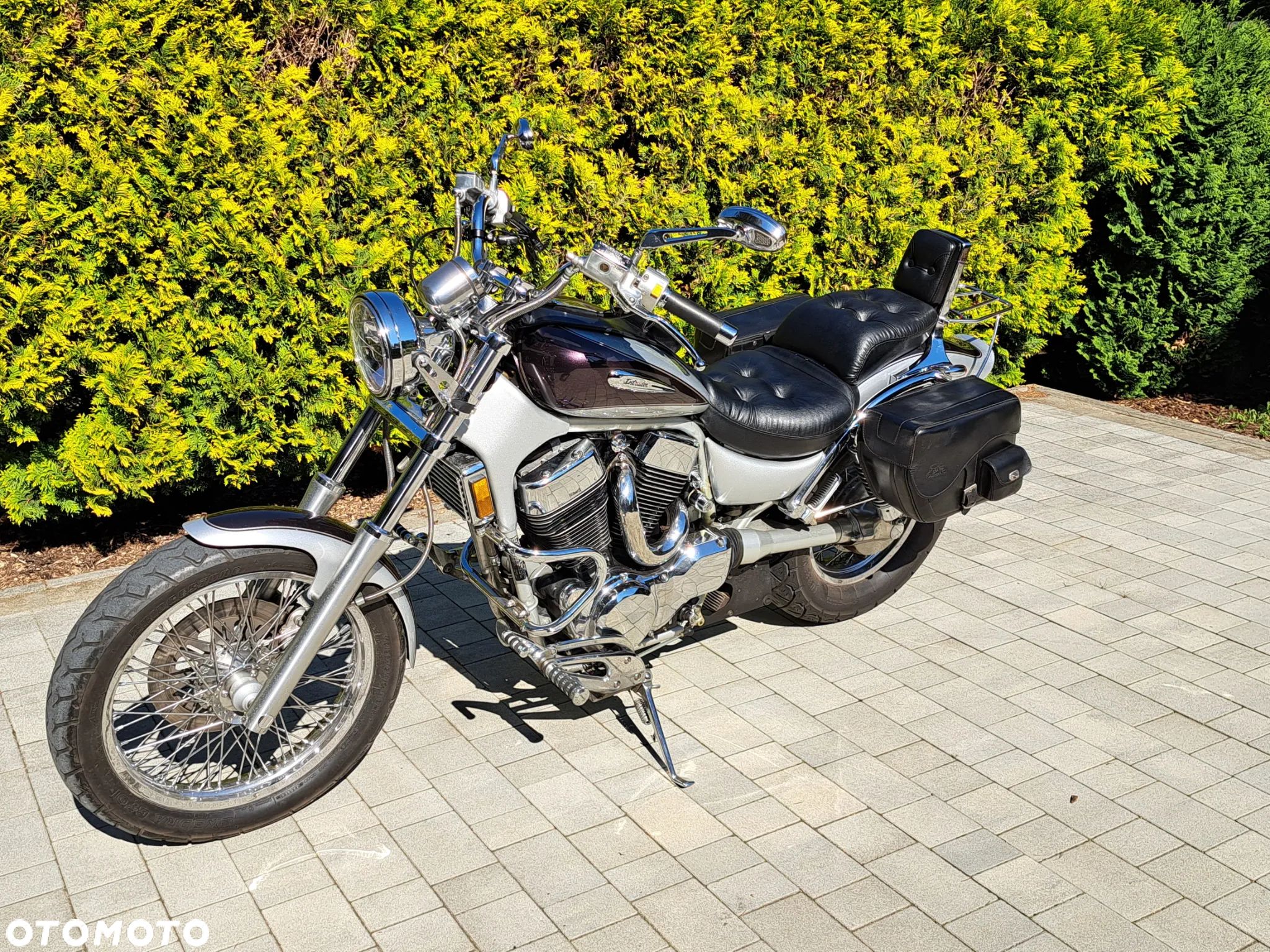 Suzuki Intruder - 1